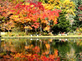 紅桜公園