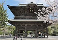 建長寺の春